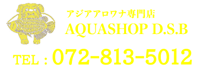 AQUASHOP D.S.Bfooterロゴ